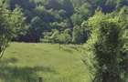 Vand teren intravilan 1200 mp, la marginea padurii, Valea Lunga (DJ710 - 2