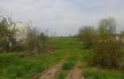 Teren Intravilan 4.615 MP DN6 BucurestiAlexandria | GORNENI | Acces din 2 capete - 2