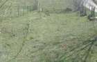 Teren intravilan si extravilan Rasca - 2