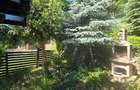 Vila 5 camere Bucium- Aleea Domenii - 6