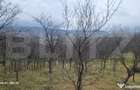 TEREN INTRAVILAN VEDERE PANORAMICA La 2 km de Manastirea CRA - 7