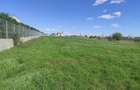 Teren extravilan, 8600 mp, Centura de Nord - 3