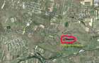 Proprietar dau in arenda 5,28 ha teren arabil - Mo?ni?a Noua - Urseni, Timi? - 3