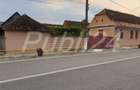 Casă cu 5 camere cu Teren 800 Mp în Daneș - 8