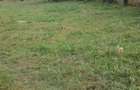 Teren intravilan pt casa, Recea Arges - 4