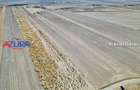 Teren agricol, 5HA, comasat, drum acces, Cateasca - 9