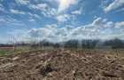 Teren intravilan de vanzare, 1500 mp, zona ?oimu? - 2