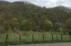 Teren cu livada pe rod 120 pomi fructiferi 3.100 mp Sat Boz, Brani?ca, Hunedoara - 3