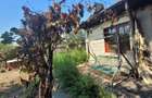 Casa cu teren 700 mp Balanu, Giurgiu | Ideala pentru renovare - 6