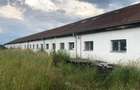 Spatiu industrial productie mobilier, jud Mures - 14