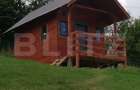 Casa cu teren de 2330 mp, anexa de 15 mp, zona Muntele Rece - 12
