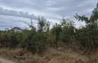 Teren Intravilan locuinte langa padure Pruni, Magurele, Ilfov,