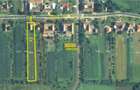 2 Case in Herendesti, la 7 km de Lugoj - 3