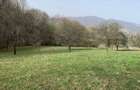Teren pretabil pentru casa de vacanta in Maramures - 2