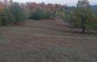 Vand 2.9 ha teren chisindia sat vasoaia/pret pe hectar - 13