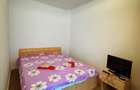Proprietar Inchiriez Apartament 2 Camere - Statie de tramvai Tatarasi Sud - 2