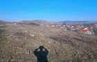 Teren de vanzare - 1700m2 Sard - 7