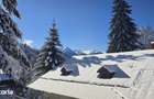 Vile premium , chalet ?i Tree House-uri intr-un Resort Wellness montan - 15