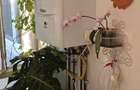 Apartament 3 camere, 68 mp, zona Rovine - 6