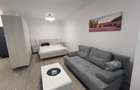 Apartament premiun open space/48mp/ zona Vivo-str Avram Iancu Floresti - 6