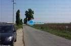 Vanzare Teren Intravilan Herasti Giurgiu 2 HA - 6