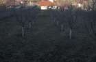Casa de vanzare in Ora? Ludu?, str. Avrame?ti - 8