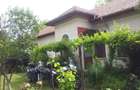 Vand casa locuibila in com. Giubega jud. Dolj - 3