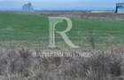 Teren de inchiriat | 20,088 ha | Sacadat | Bihor