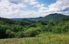 Proprietate de vanzare in sat Barbura, judetul Hunedoara 37.500 mp