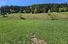 Teren de vanzare in Bucovina zona Pojorata pe Transrarau - 7