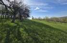 Teren extravilan 2500 mp Izvoarele Jud . Prahova - 5