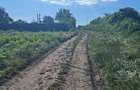 Teren agricol 1000mp, acces asfaltat, 35.000 EUR - 4