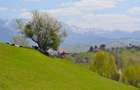 Teren 970mp sat Magura Moieciu cu panorama spectaculoasa - 7