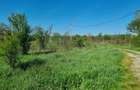 Vand loturi teren intravilan Bascov, Arges - 9