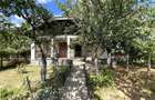 Casa spa?ioasa ?i primitoare in Viile Satu Mare zona Dealu Mare - 9