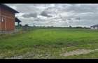 Vand loc de casa in Botiz - 2