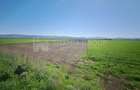 Teren extravilan, 8700 mp, pretabil agricultura sau investi?ie - Bod - 4