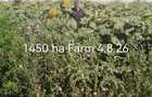 Agricuture farm 1450 ha - 4