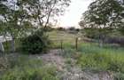 Vand teren intravilan,ptr.constructie,st.1440 mp.(70x20,5ml),Ar.Nou - 5