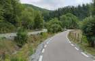 Casa de caramida la rosu, 3765mp teren intravilan, Valea Ariesului, AB - 8