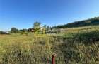Teren Magura str. Intre Vii Islazului 550 mp - 9