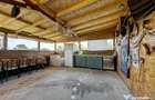 RACARI - DAMBOVITA, CASA PE PARTER 85 MP, LOT 2200 MP! - 17