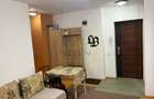 Apartament 2 camere de inchiriat-Zona Doamna Stanca - 3