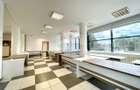 Spatiu comercial de inchiriat - CENTRAL - 8