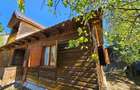 Teren si cabana de vacanta de vanzare in Fedelesoiu la 60.000 - 8