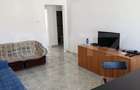 Apartament Ultracentral 2 camere, spatios si complet mobilat - 5
