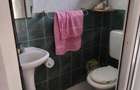 Teren 10 arii cu casa - 1