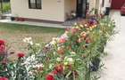 Vand casa in Maracineni-Capa?ane?ti - 10