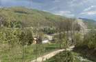 Teren vedere panoramica lac Paltinu si dealuri impadurite in Valea Dof - 8