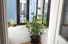 Spatiu Birou de inchiriat | 3 camere | Tineretului - Carol | Curte - 6